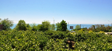 Гостевой дом VSV