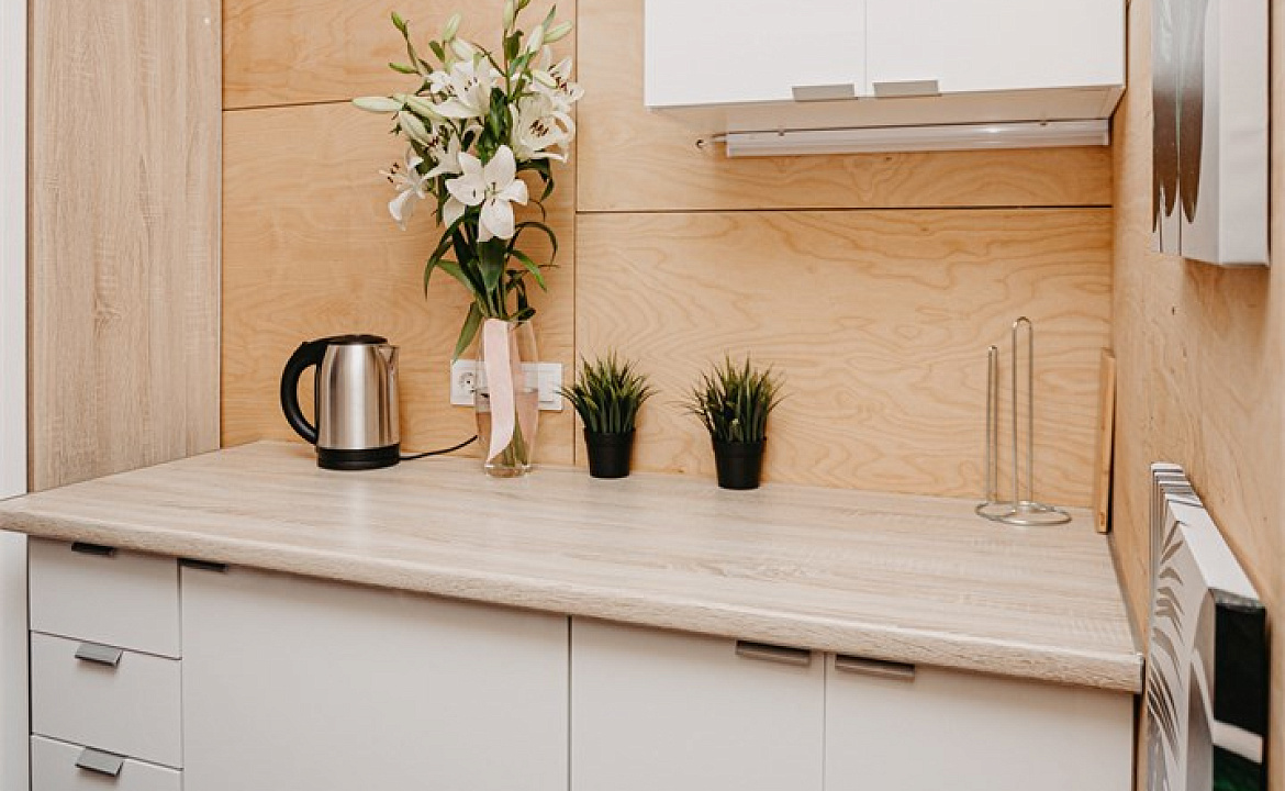 Апартаменты двухместные. Эко-апартаменты EcoSuite. Сочи