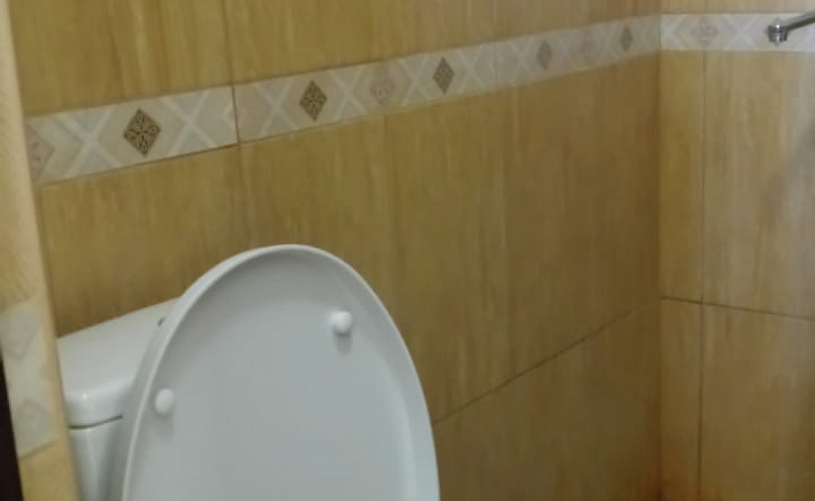 Премиум. Гостевой дом Дельфин - Новомихайловский. Новомихайловский