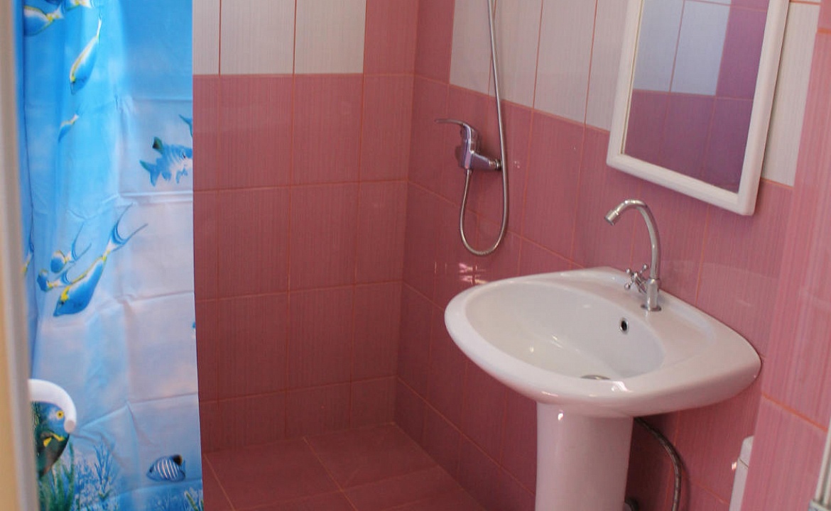 стандарт. Гостевой дом Золотая Рыбка - Гагра. Гагра