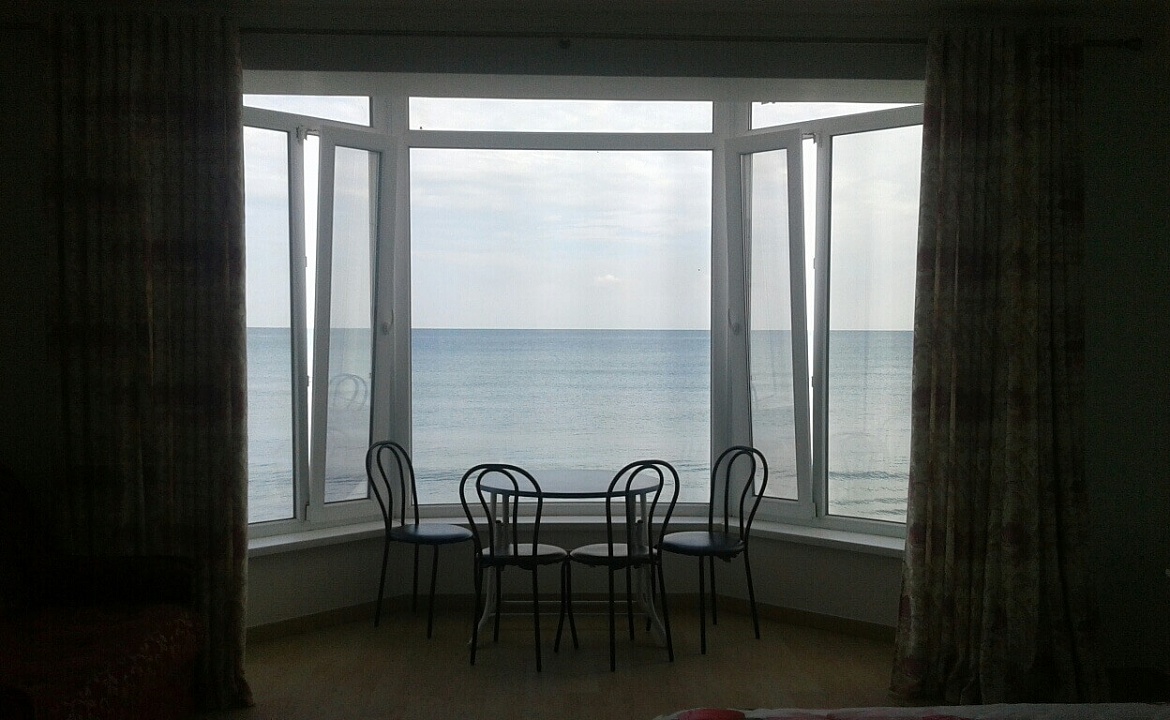 2 этаж. Эллинг "Дельфин приморский". Приморский