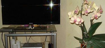 Частный сектор 2х комнатная квартира на набережной