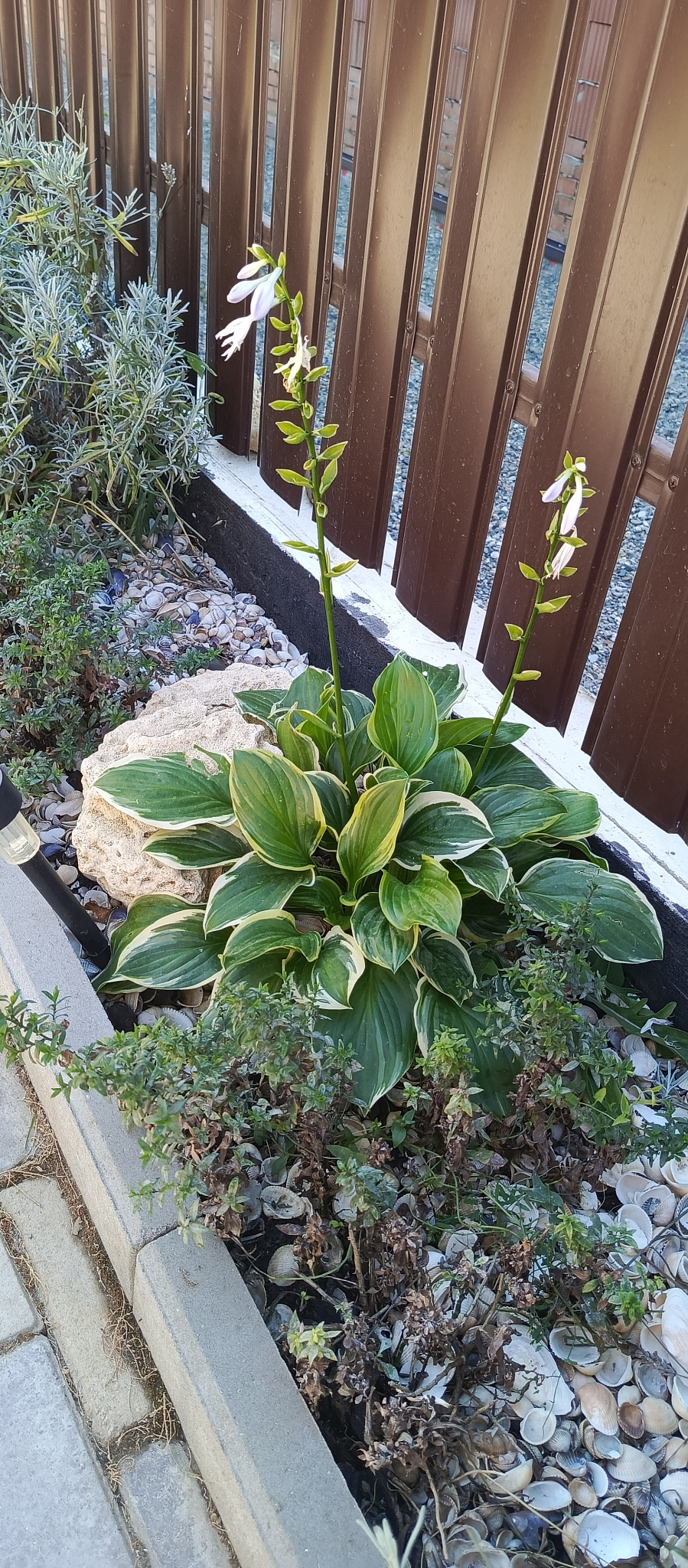 . Частный сектор У тети Аси. За Родину