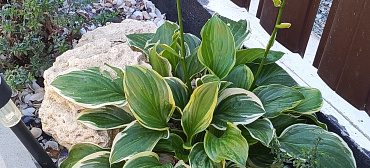 Частный сектор У тети Аси