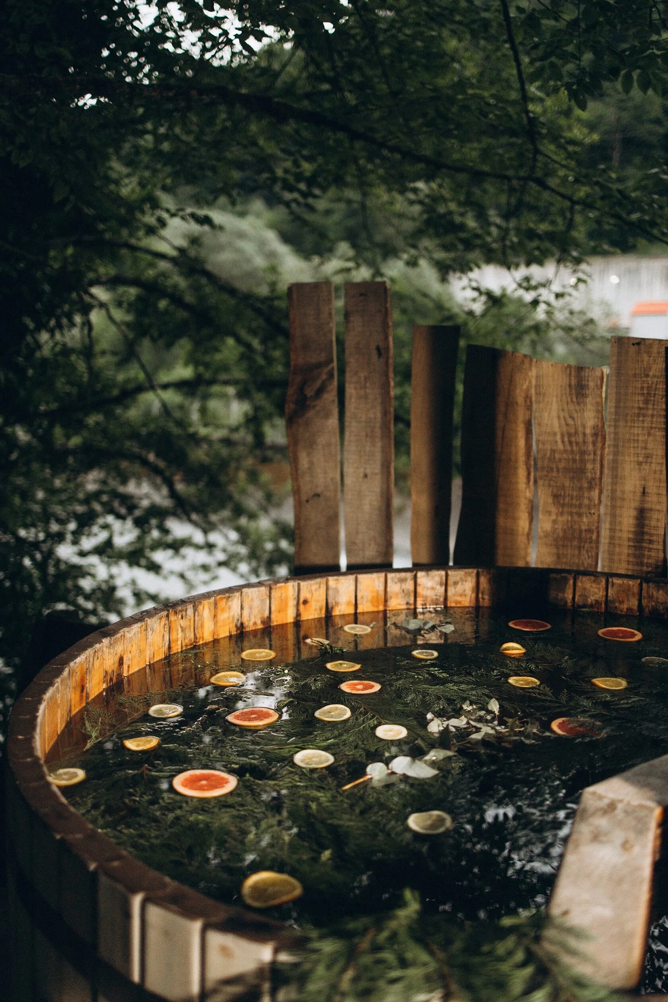 . Глэмпинг "В Потоке". Красная Поляна