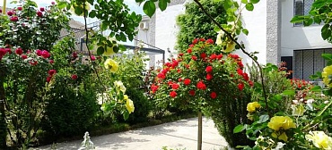 Частный гостевой дом "Аврора"