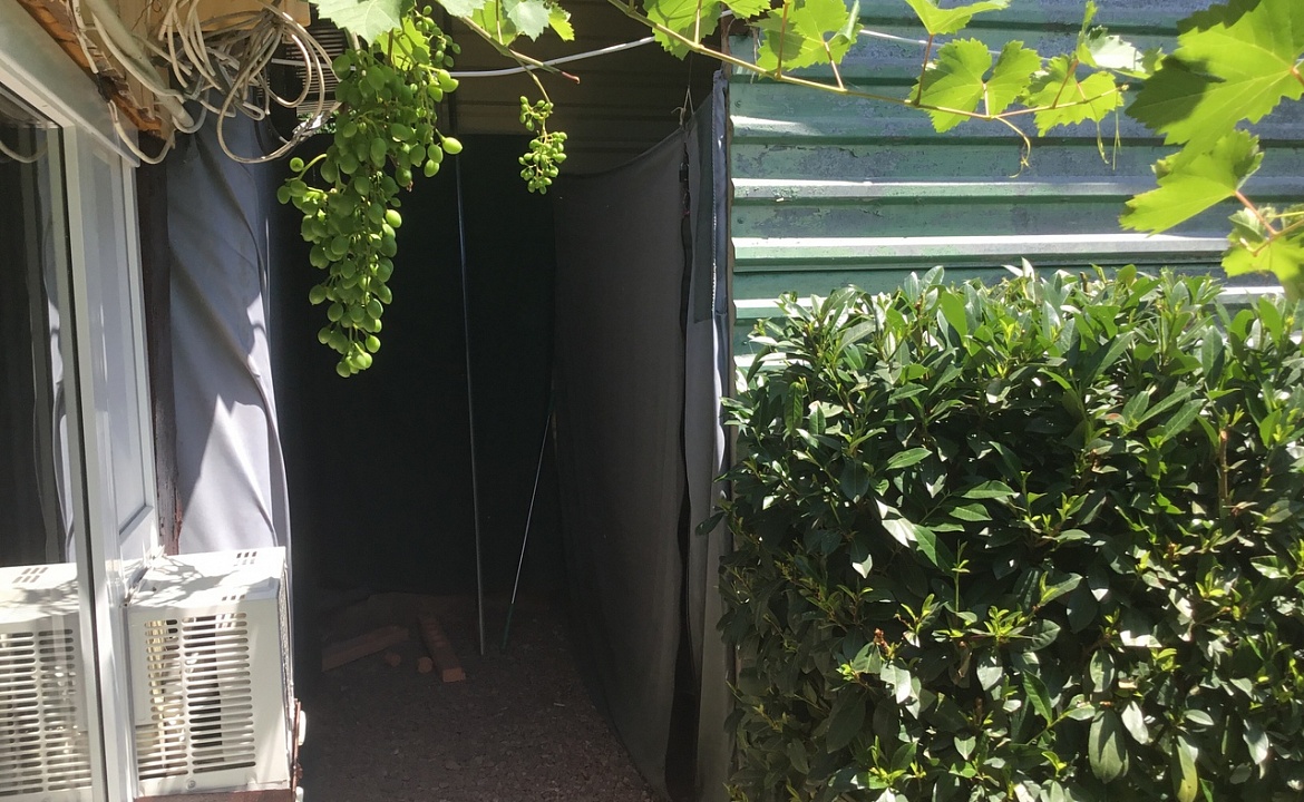 Глэмпинг. Гостевой дом «Лазурное». Лазурное