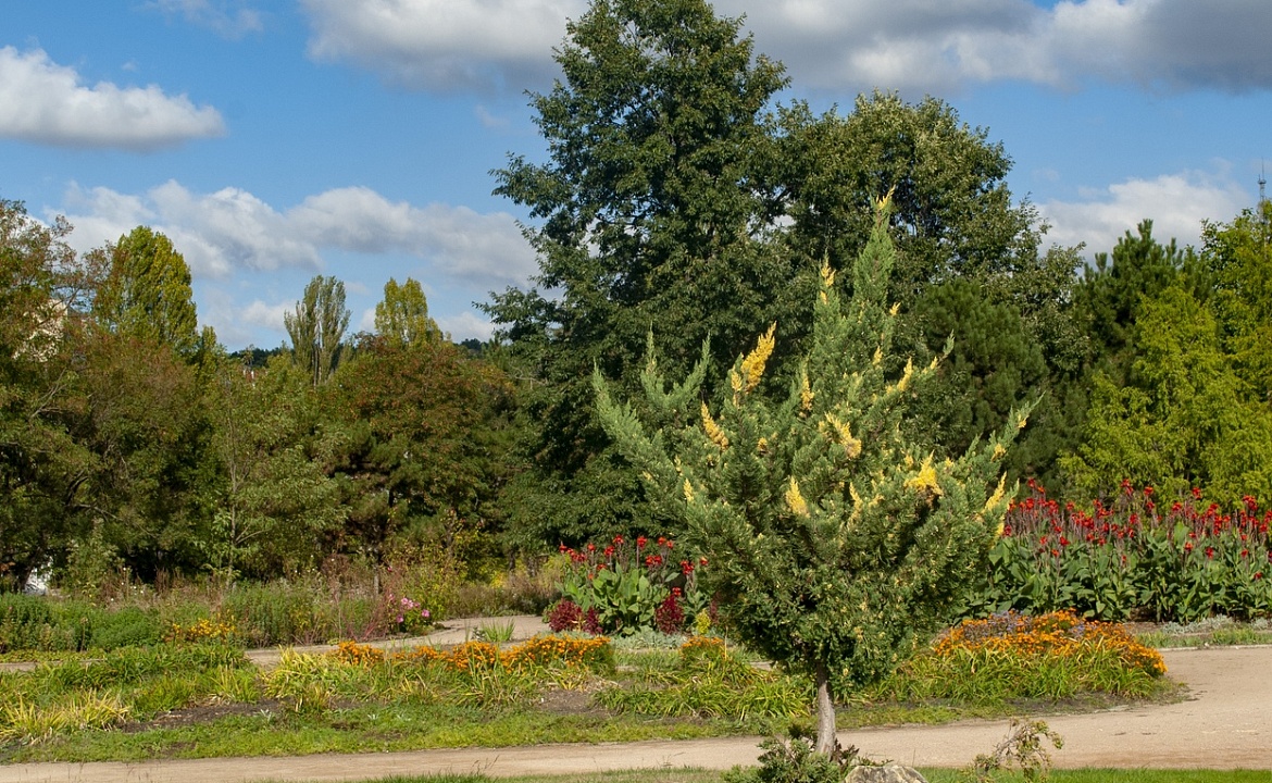 Ботанический сад Симферополя. Фото взято с сайта: https://vk.com/botsad_takfu