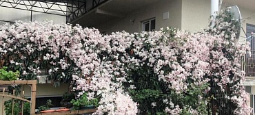 Частный сектор "У Генриха" Частный сектор "У Генриха"