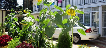 Частный сектор Ул калараш 77