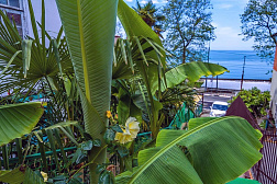 Гостевой дом "Марьин двор" Гостевой дом "Марьин двор"