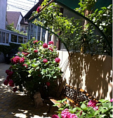 Гостевой дом "АТикА" Гостевой дом "АТикА"