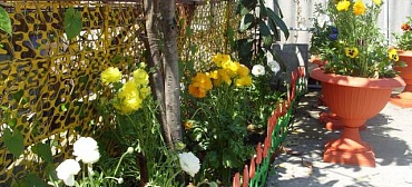 Гостевой дом "Ника" - Адлер