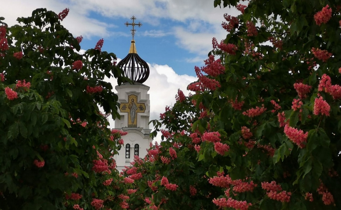 1ком.квартира. Квартира в многоквартирном доме Чистая и Уютная. Курорты Новороссийска