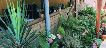 Частный сектор на Белинского 8А