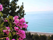 Отель Дача художников