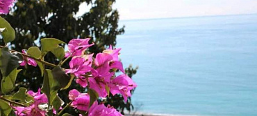 Отель Дача художников