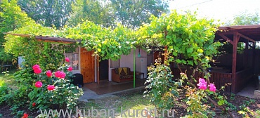 Гостевой дом "Зеленый дворик" 
