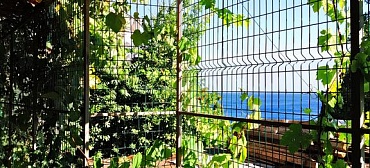 Частный гостевой дом Матрос Частный гостевой дом Матрос