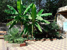 Частный сектор "Ирина" 