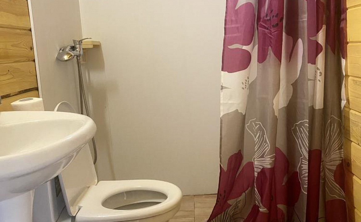 3-Х местный домик. Гостевой дом "Ролан". Новый Афон