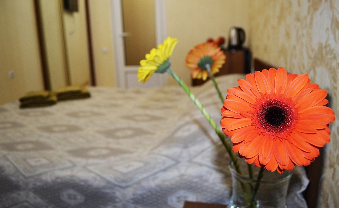 Однокомнатный двухместный . Отель Гостевой дом «У Тещи-2». Феодосия