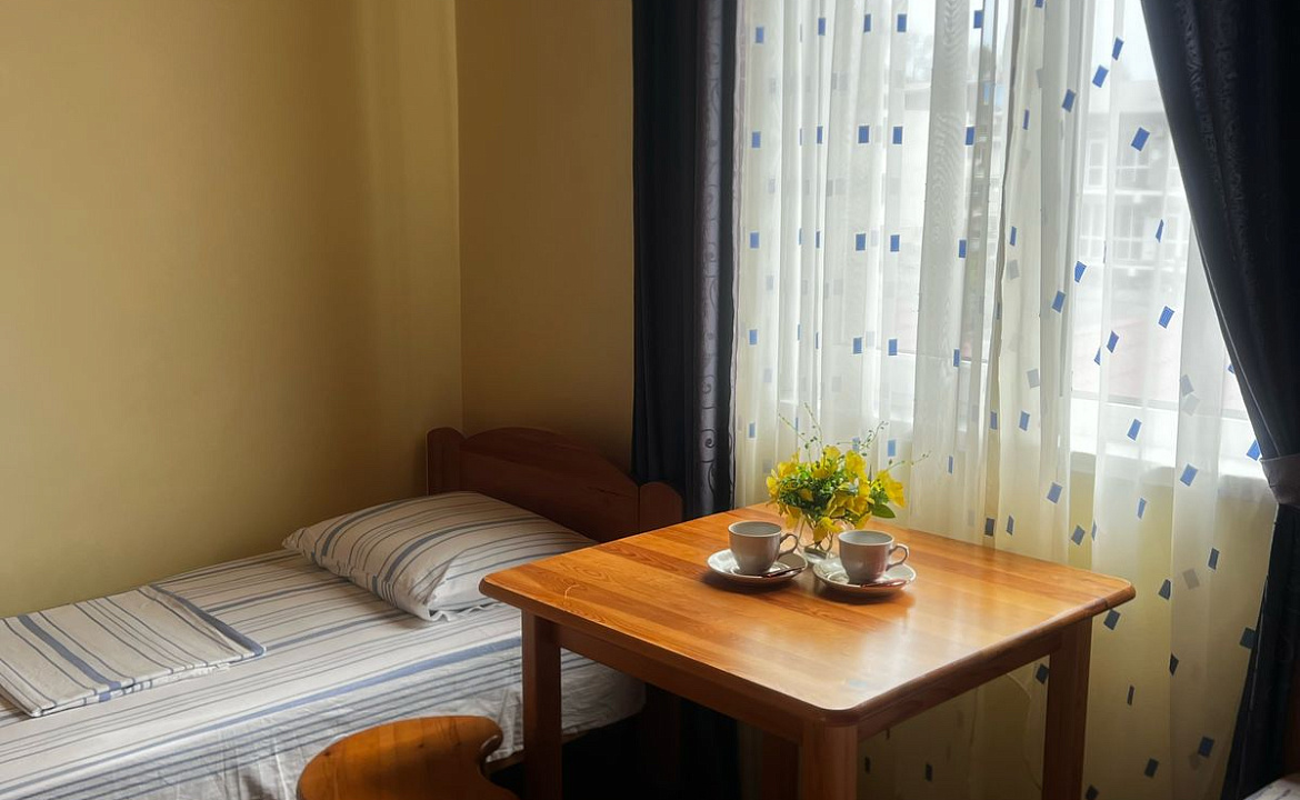 Двухместный номер с кондиционером. Гостевой дом Эксклюзив. Вардане