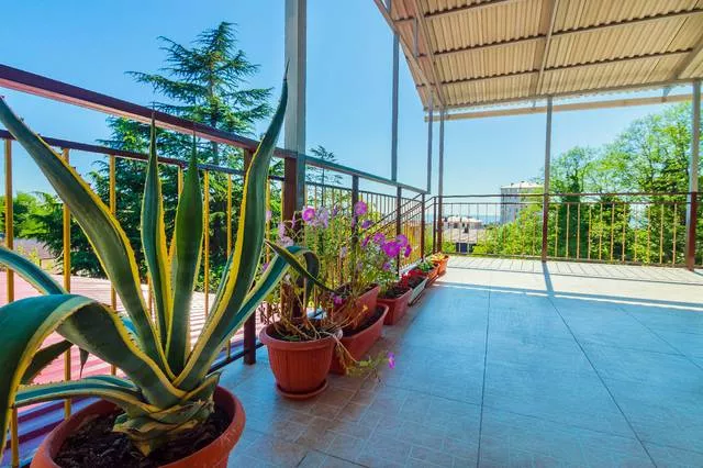 . Гостевой дом «Аэлита». Адлер