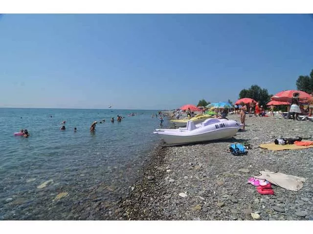 . База отдыха "Платан". Лазаревское . База отдыха "Платан". Лазаревское