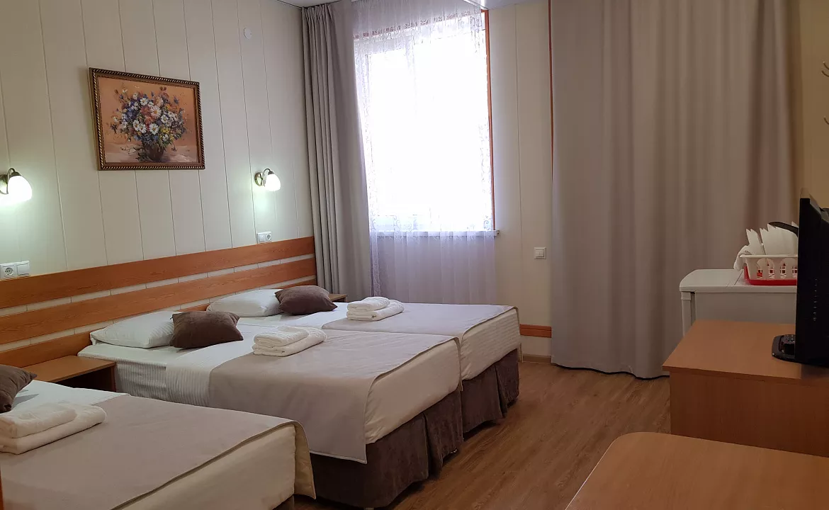 Полулюкс с общим балконом 3хместный. Отель АСТОН. Нижнее Джемете