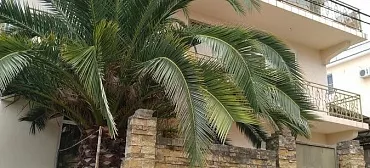 Гостевой дом "Рай" 