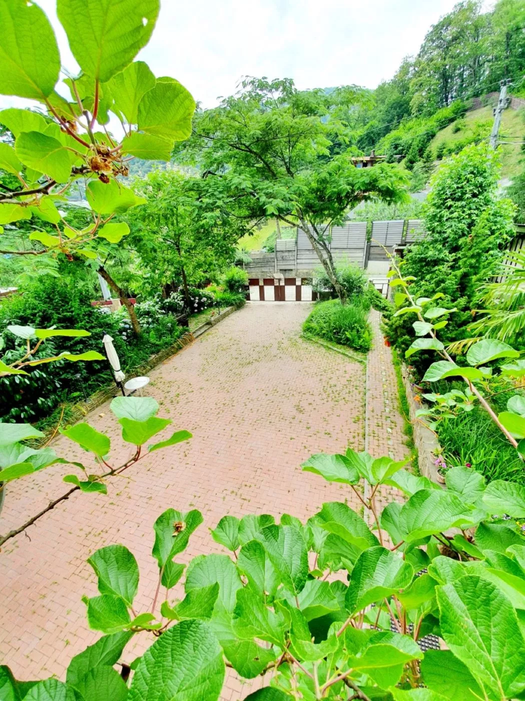 . Гостевой дом Родник. Красная Поляна