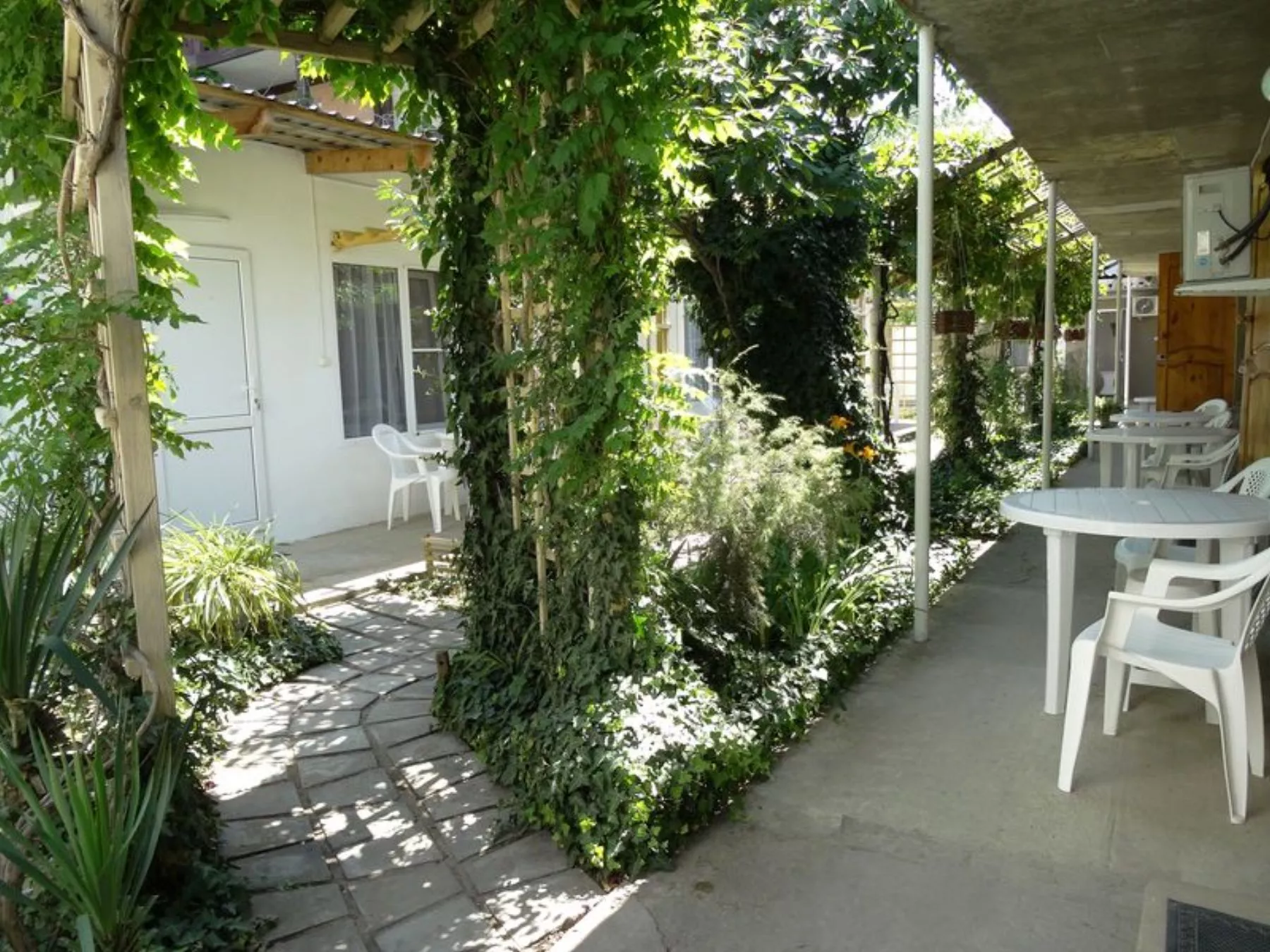 . Гостиница Розовый слон. Анапа