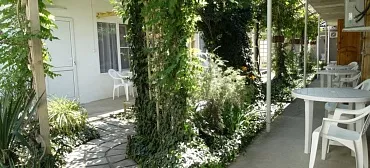 Гостиница Розовый слон