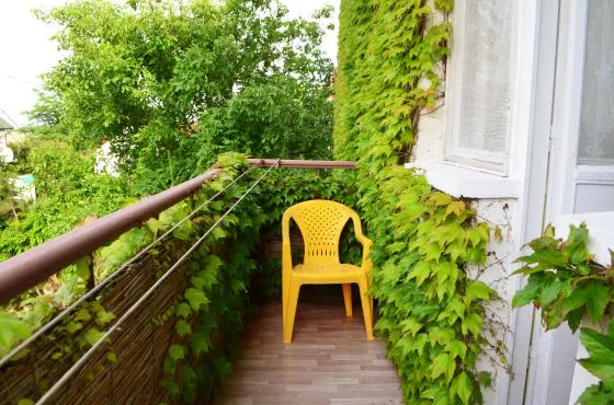 Номер 2.5. Гостевой дом «Летний». Витино