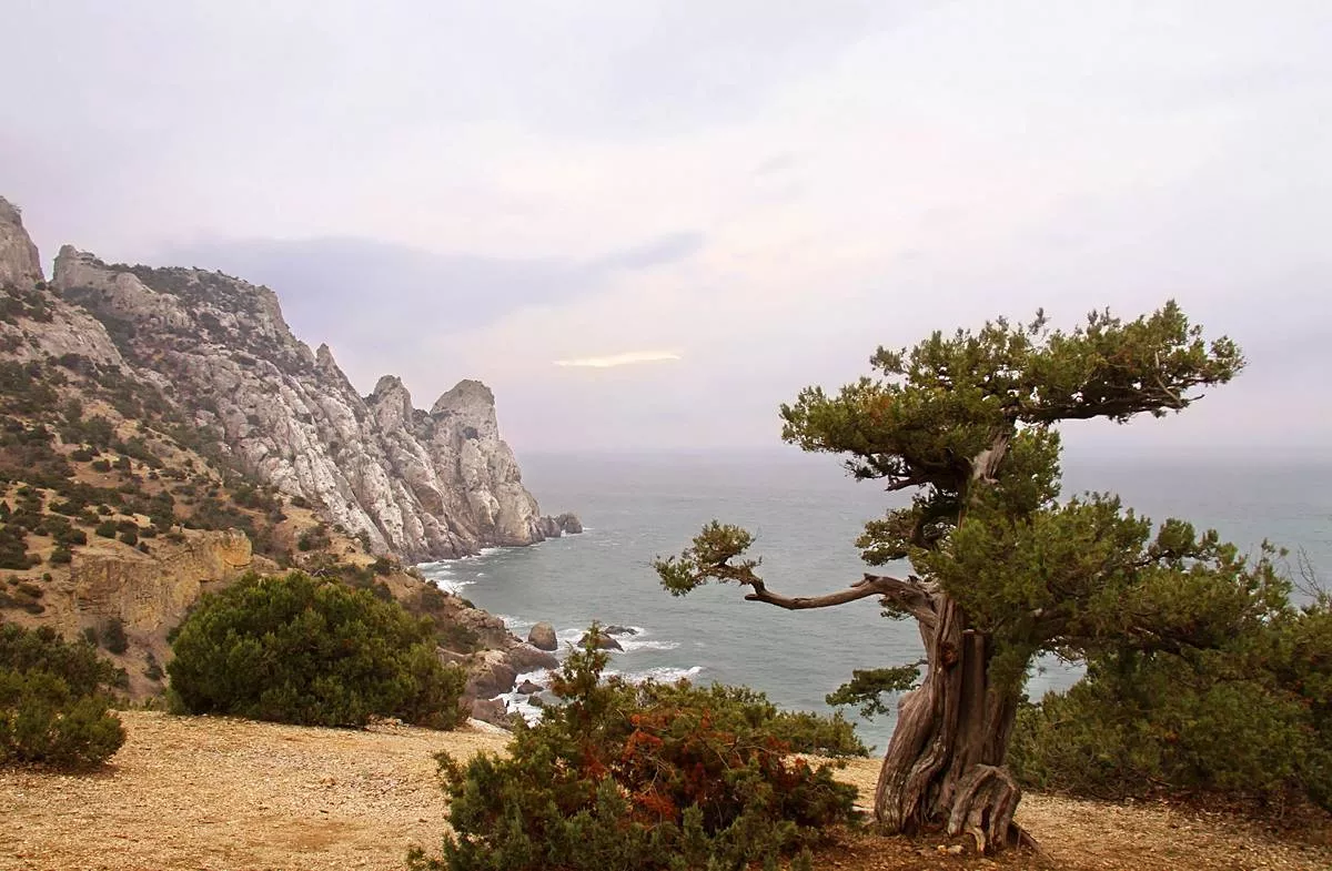 . Гостевой дом Лаванда. Судак