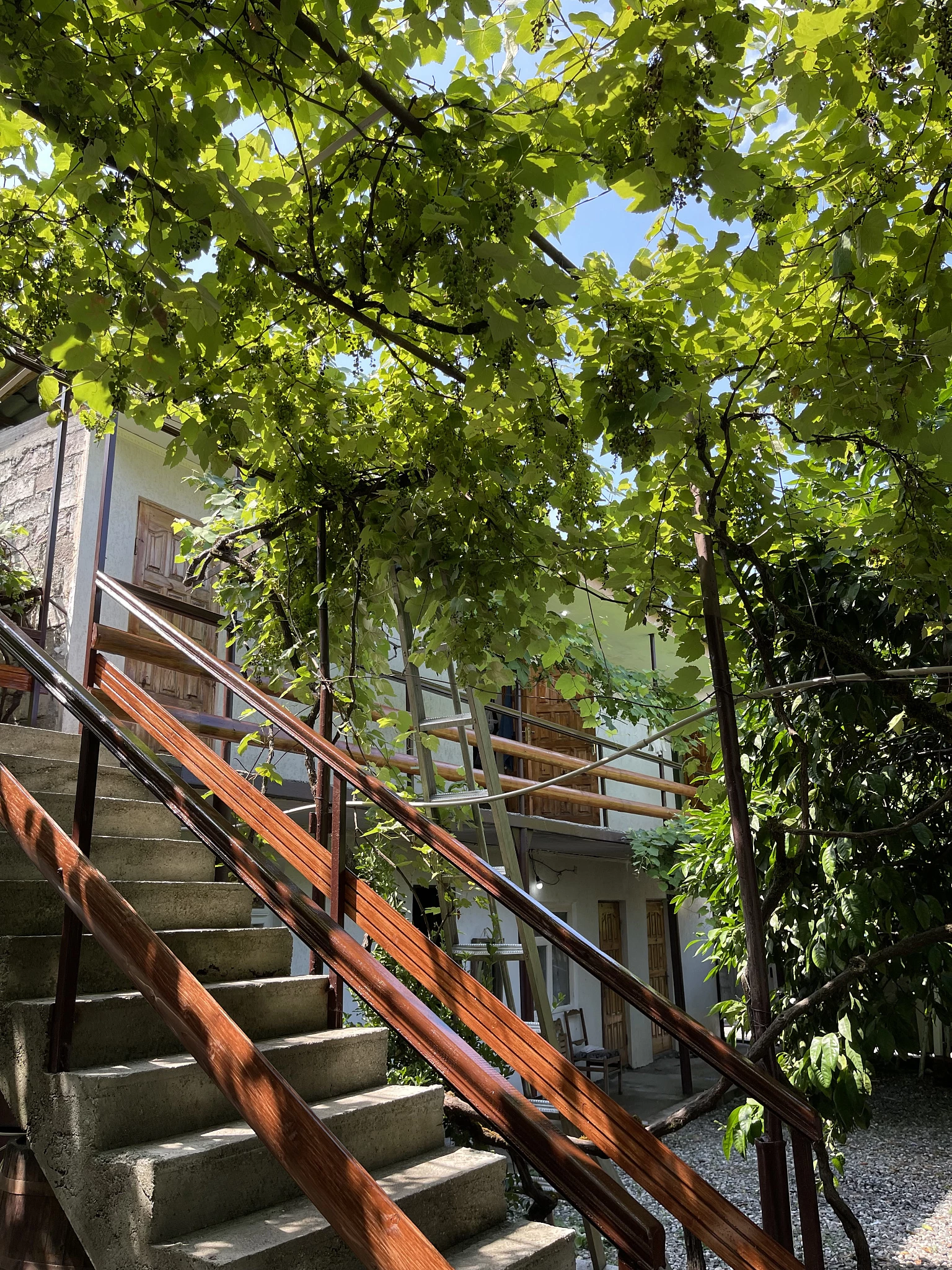 . Гостевой дом Самшит. Гагра