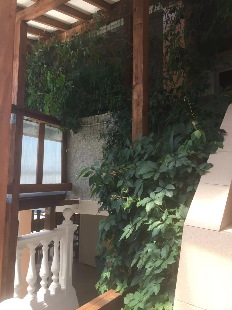 . Гостевой дом "У Роберта". Лоо