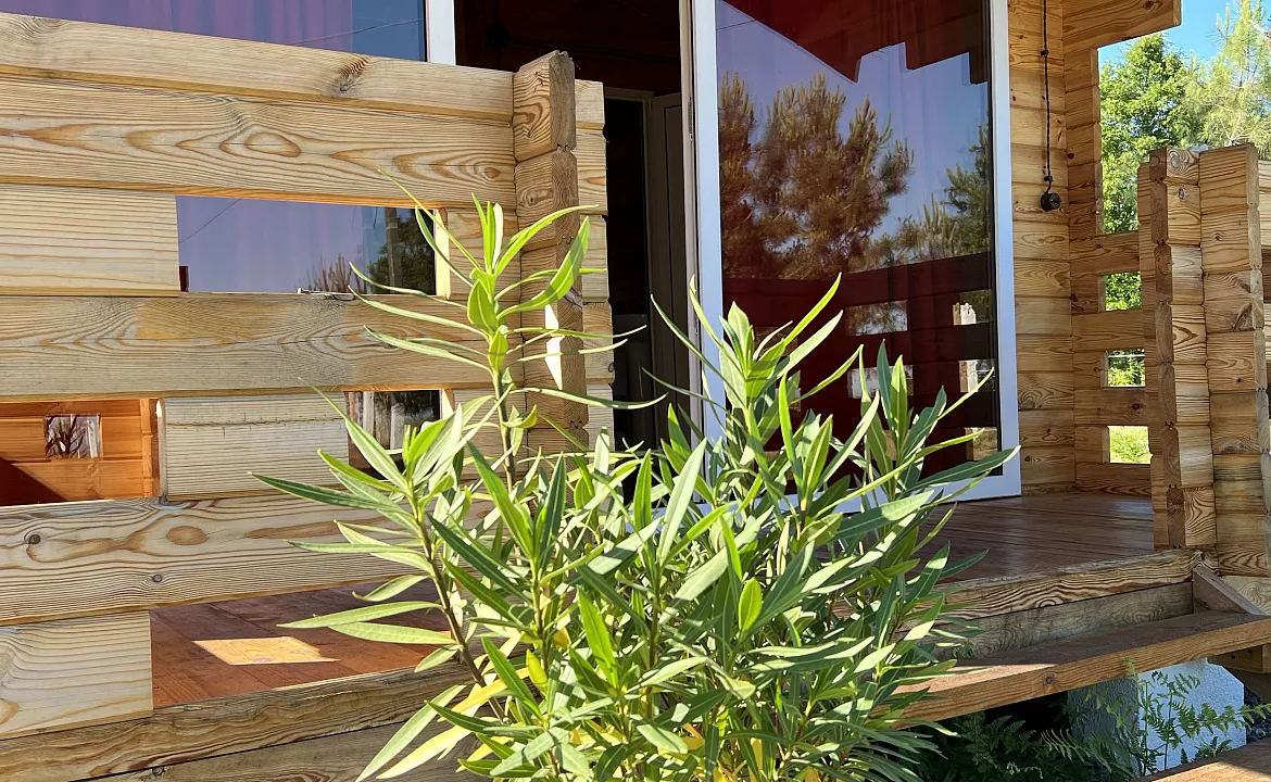 Дом на берегу моря. База отдыха Сосновый бор. Сухум