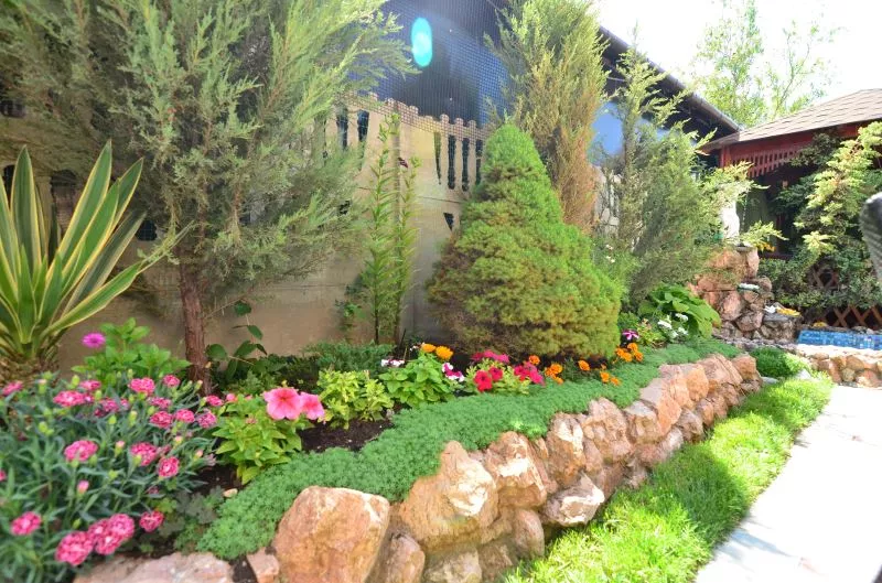 . Коттедж «Золотой Лев». Чайка