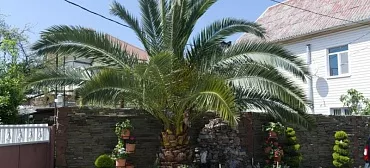 Гостевой дом "Джемма" 