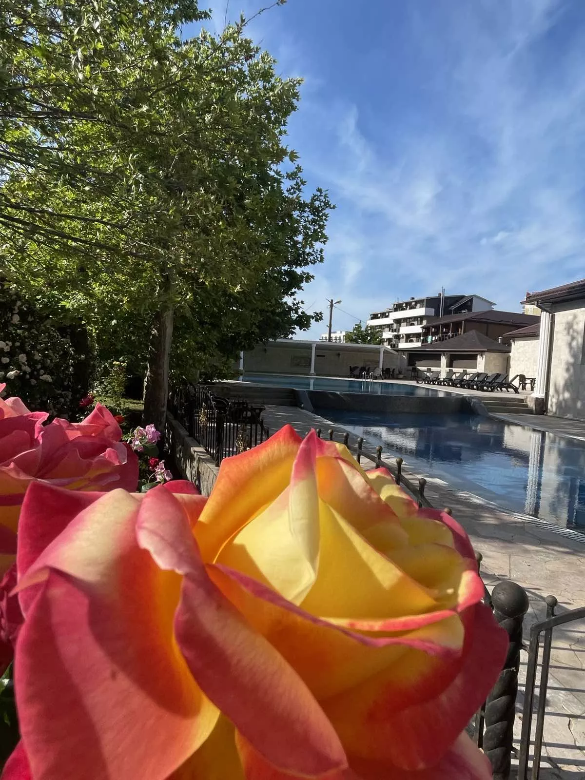 . База отдыха "Платан Resort". Витязево