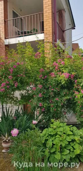 . Гостевой дом "Бумеранг". Ольгинка