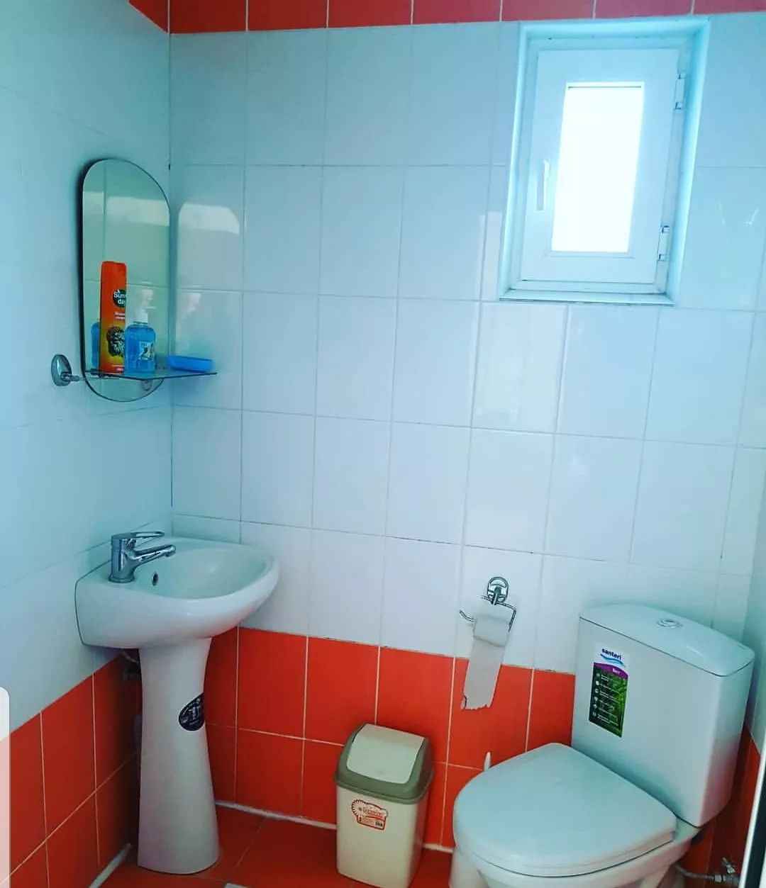 . Гостевой дом "Флора". Геленджик . Гостевой дом "Флора". Геленджик