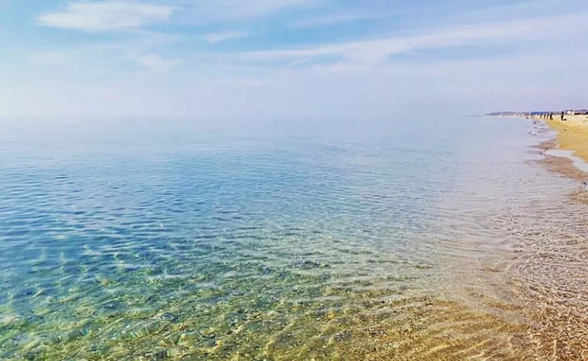 Однокомнатный 4х местный . База отдыха "Ставрополье1". Благовещенская