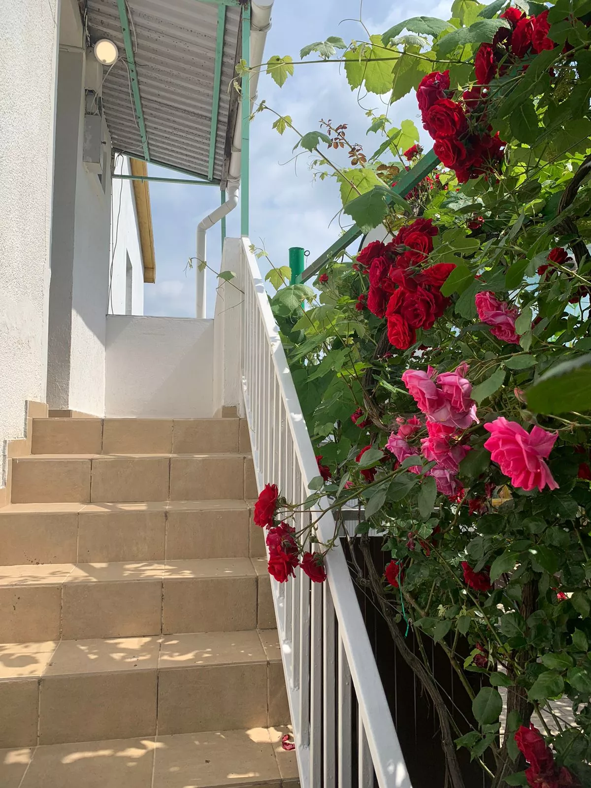 . Гостевой дом Гармония - Витязево. Витязево