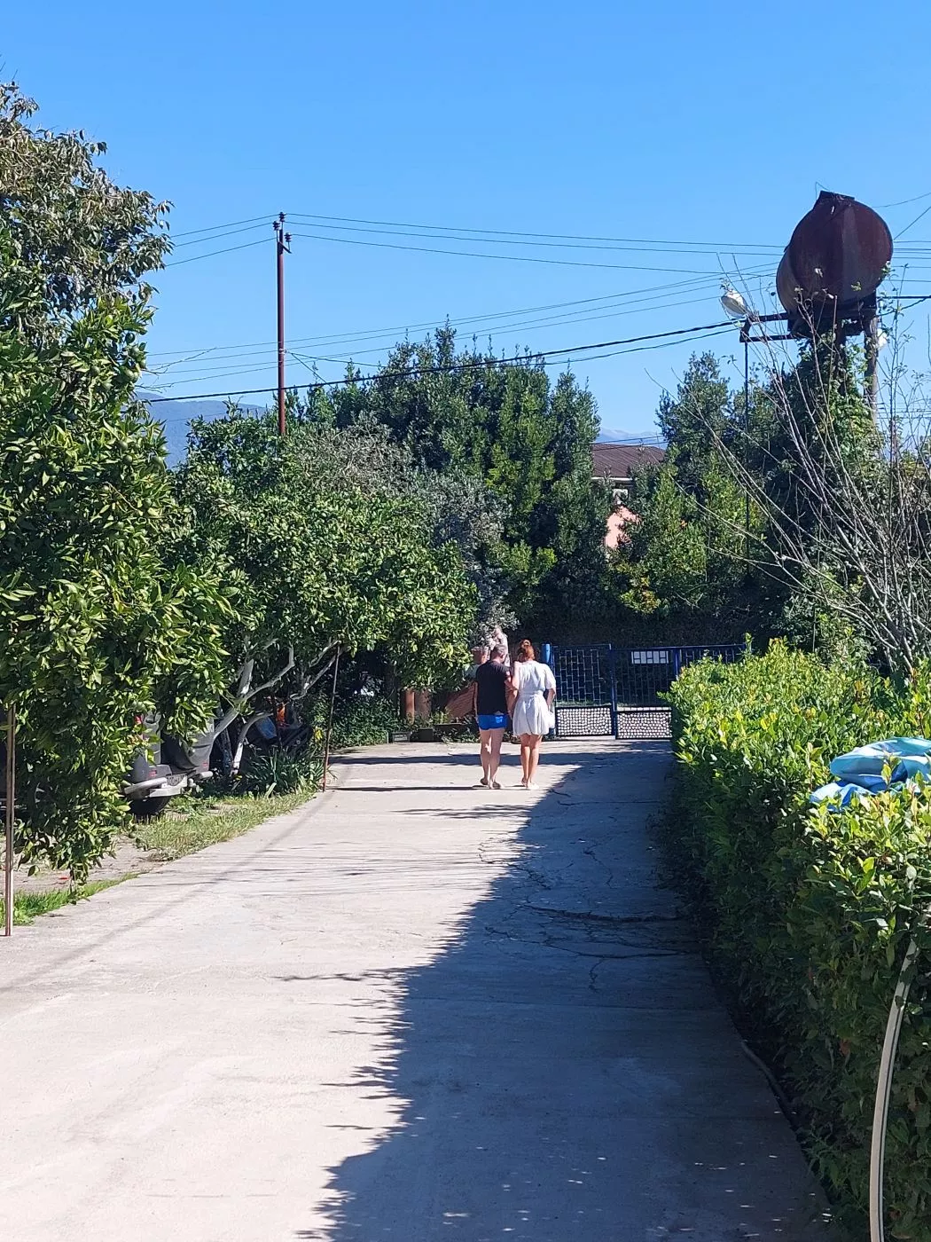 . Гостевой дом ЛЕТО. Пицунда . Гостевой дом ЛЕТО. Пицунда