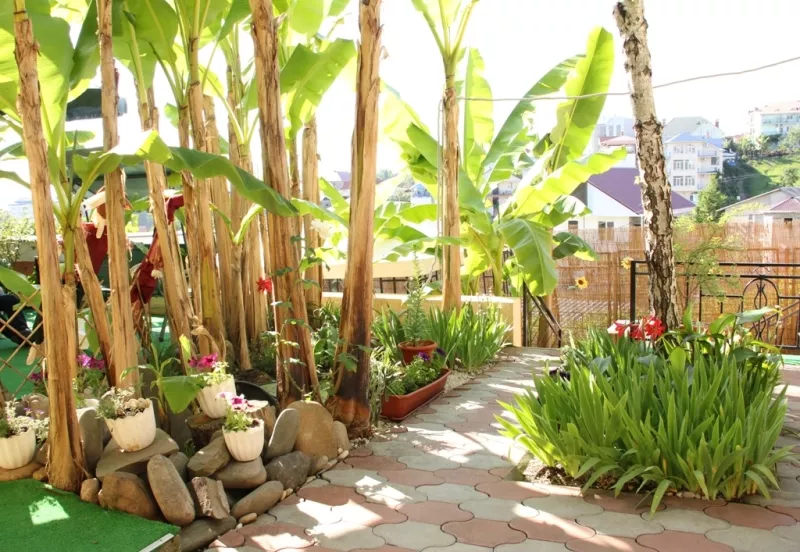 . Гостевой дом "Адлерский Бриз". Адлер