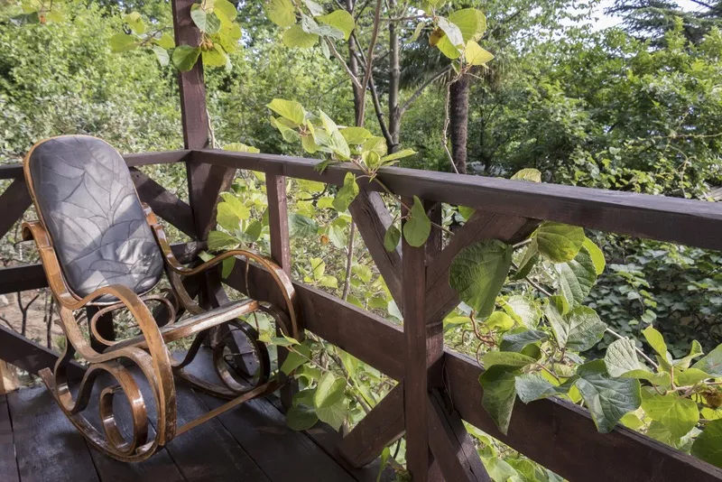 Дом Манича. База отдыха "Сосновый Бор". Чемитоквадже