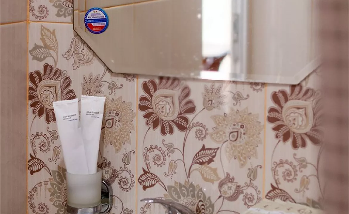 Комфорт трехместный. Гостевой дом «Алоиза». Лоо